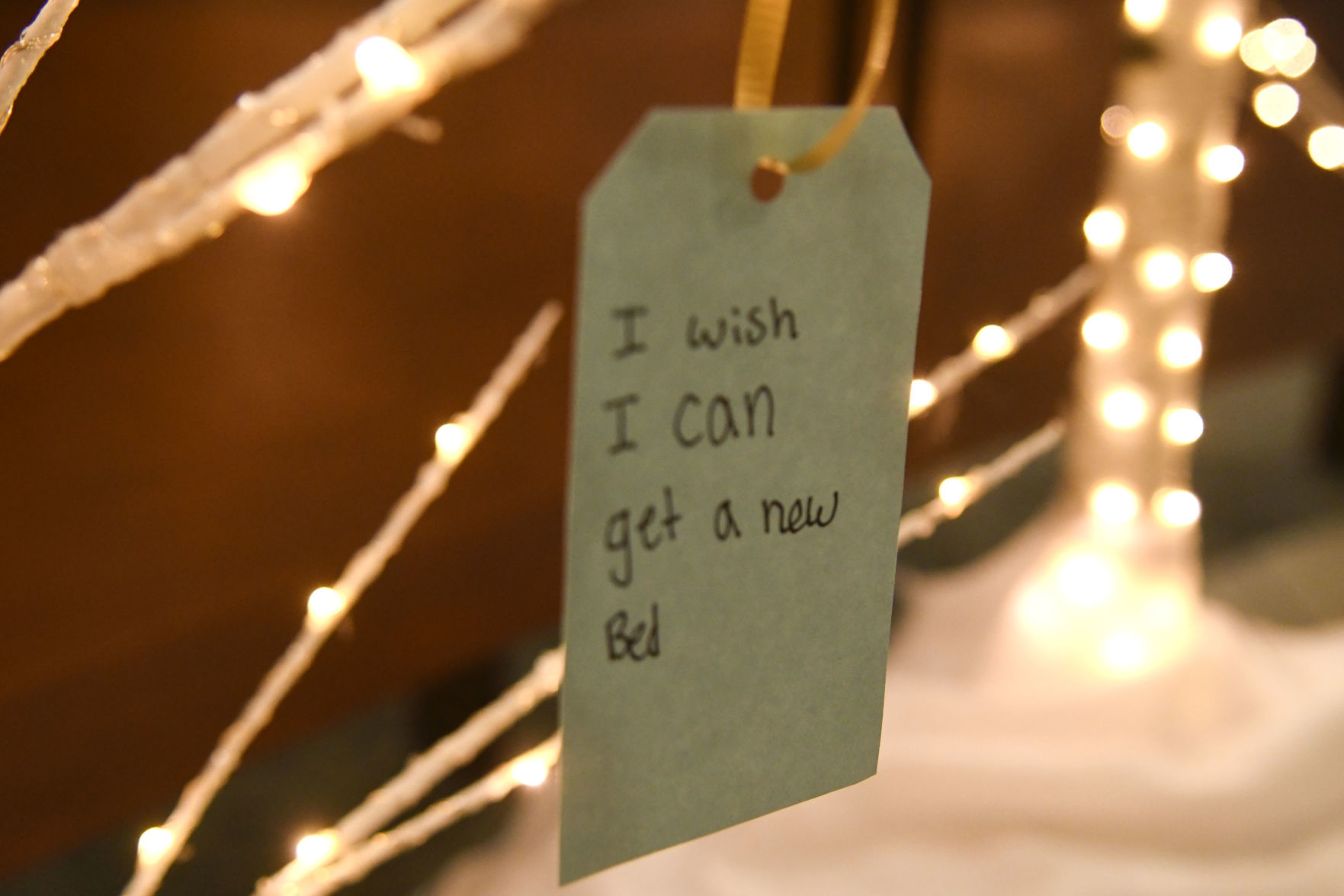 120219 Wishing trees 13.jpg